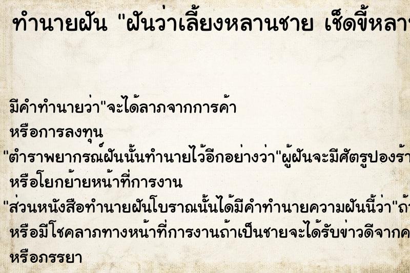 ทำนายฝัน ฝันว่าเลี้ยงหลานชาย เช็ดขี้หลาน